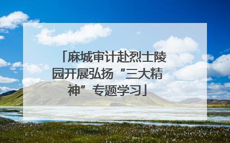 麻城审计赴烈士陵园开展弘扬“三大精神”专题学习