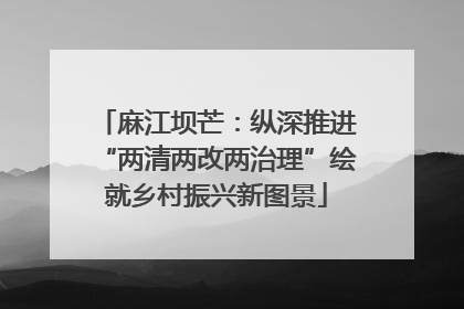 麻江坝芒：纵深推进“两清两改两治理”绘就乡村振兴新图景