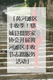 黄河滩区丰收季！郓城县摄影家协会开展黄河滩区丰收节志愿服务活动