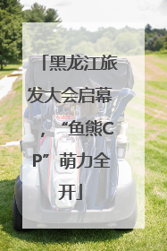 黑龙江旅发大会启幕，“鱼熊CP”萌力全开