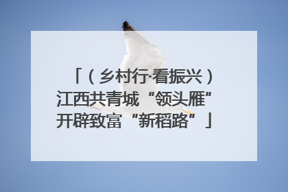 （乡村行·看振兴）江西共青城“领头雁”开辟致富“新稻路”