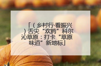 （乡村行·看振兴）舌尖“欢腾”科尔沁草原：打卡“草原味道”新地标