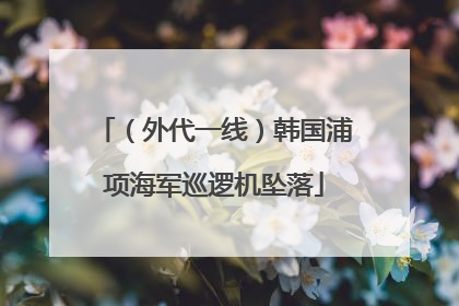 （外代一线）韩国浦项海军巡逻机坠落
