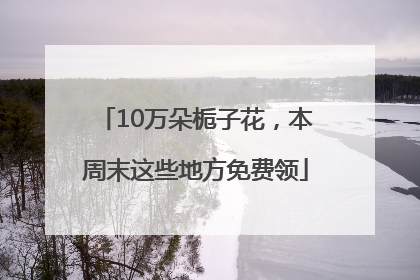10万朵栀子花，本周末这些地方免费领