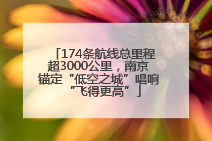 174条航线总里程超3000公里，南京锚定“低空之城”唱响“飞得更高”