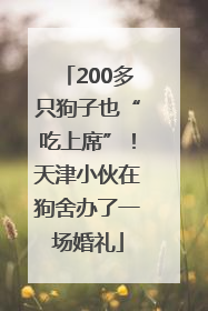 200多只狗子也“吃上席”！天津小伙在狗舍办了一场婚礼