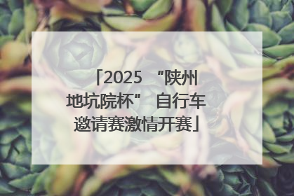 2025 “陕州地坑院杯” 自行车邀请赛激情开赛