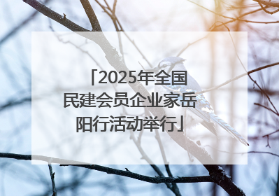 2025年全国民建会员企业家岳阳行活动举行