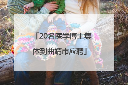 20名医学博士集体到曲靖市应聘