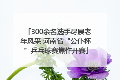 300余名选手尽展老年风采 河南省“公仆杯”乒乓球赛焦作开赛