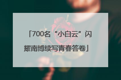 700名“小白云”闪耀南博续写青春答卷