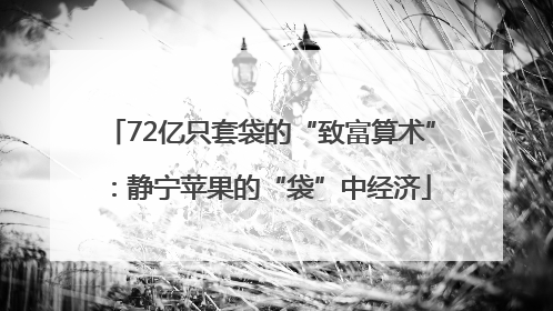 72亿只套袋的“致富算术”：静宁苹果的“袋”中经济
