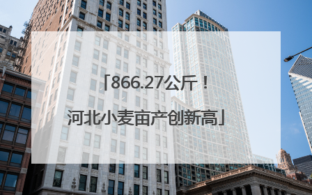 866.27公斤！河北小麦亩产创新高