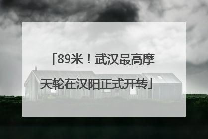 89米！武汉最高摩天轮在汉阳正式开转