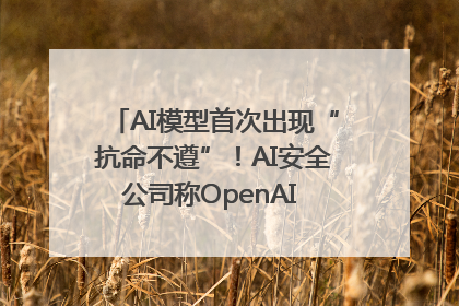 AI模型首次出现“抗命不遵”！AI安全公司称OpenAI o3模型出现异常
