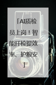 AI质检员上岗！智能扦检提效率、护粮安