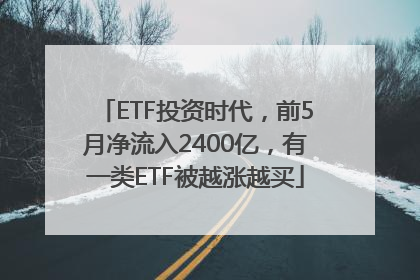 ETF投资时代，前5月净流入2400亿，有一类ETF被越涨越买