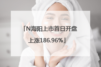 N海阳上市首日开盘上涨186.96%